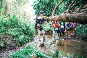 BIB: 
                            <button type="button" onclick="openModal(25514516)" class="btn btn-primary btn-sm float-right btn-popup" data-toggle="modal" data-target=".modal-high-quality">
                        <i class="fas fa-shopping-cart"></i> Add to Cart
                    </button>
                                            <button type="button" onclick="isThisMe(25514516, true)" class="btn btn-success btn-sm float-right btn-popup btn-isme hidden" data-toggle="tooltip" data-placement="bottom" title="นี่คือรูปของคุณใช่ไหม คลิกที่นี่เพื่อเอาเข้าอัลบั้ม">
                        <i class="fas fa-plus"></i> Add to album
                    </button>
                    <button type="button" onclick="isThisMe(25514516, false)" class="btn btn-warning btn-sm float-right btn-popup btn-isnotme hidden">
                        <i class="fas fa-ban"></i> Remove from album
                    </button>